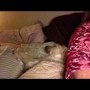 Meet your Posher, Vikki